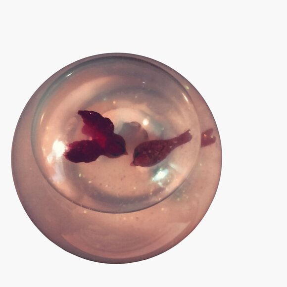 Cardinal Snow Globe Waterfall Scene Cloudy Craft - Picture 5 of 10